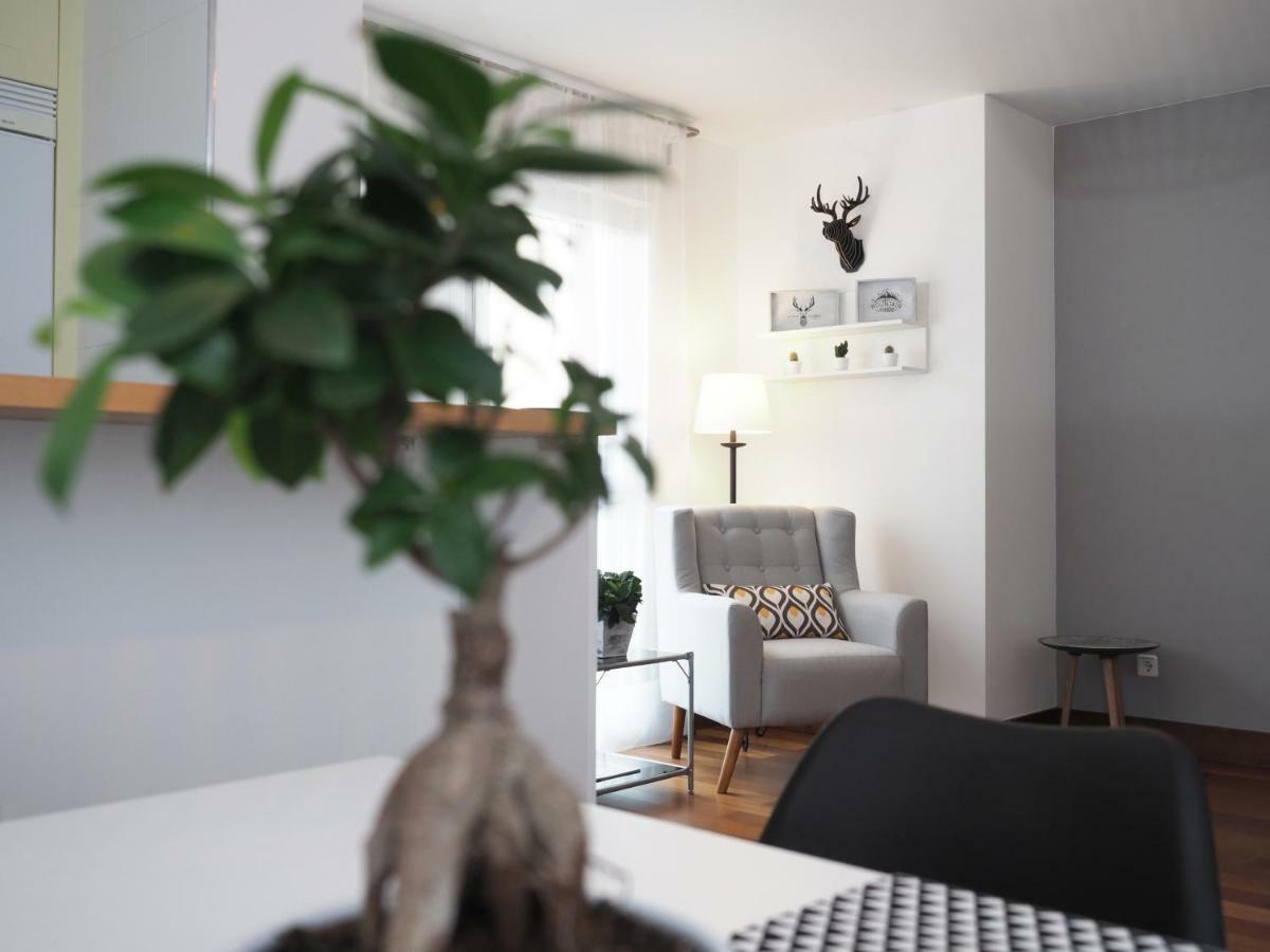 Apartamento Monte Perdido 博尔塔纳 外观 照片